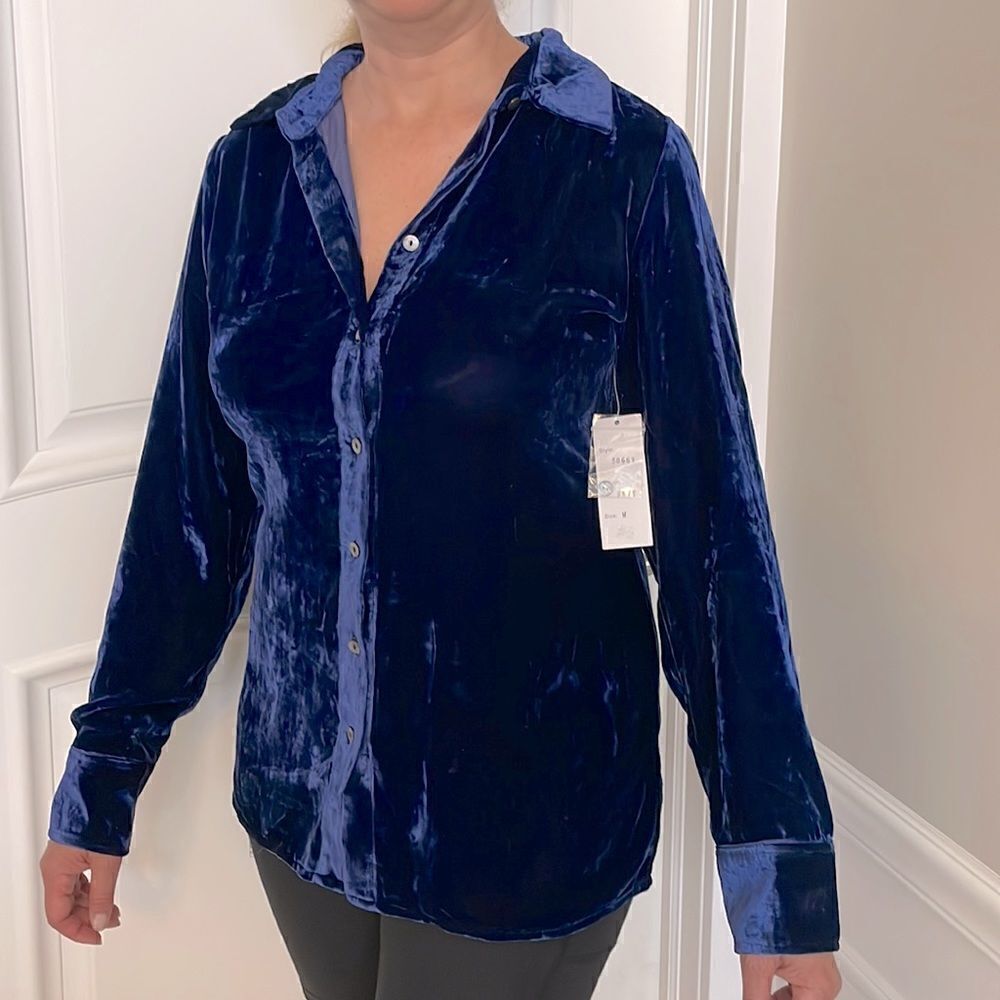 HANNA G. DESIGNED BY ARLEEN BOWMAN.  RICH BLUE VELVET BUTTON BLOUSE. NEW…